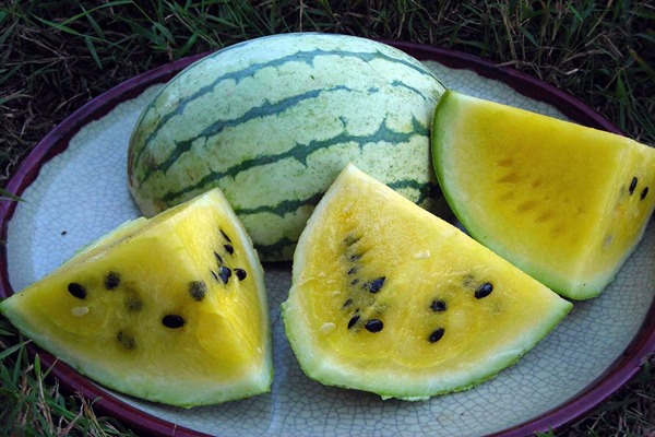 تصویر 3 از قیمت هندوانه آناناسی با کیفیت ارزان + خرید عمده